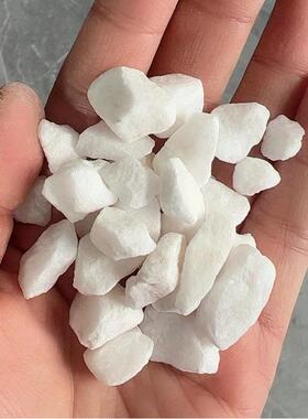厂供白色透水石子无机水磨石子水洗石耐磨地坪造景打磨白色石子