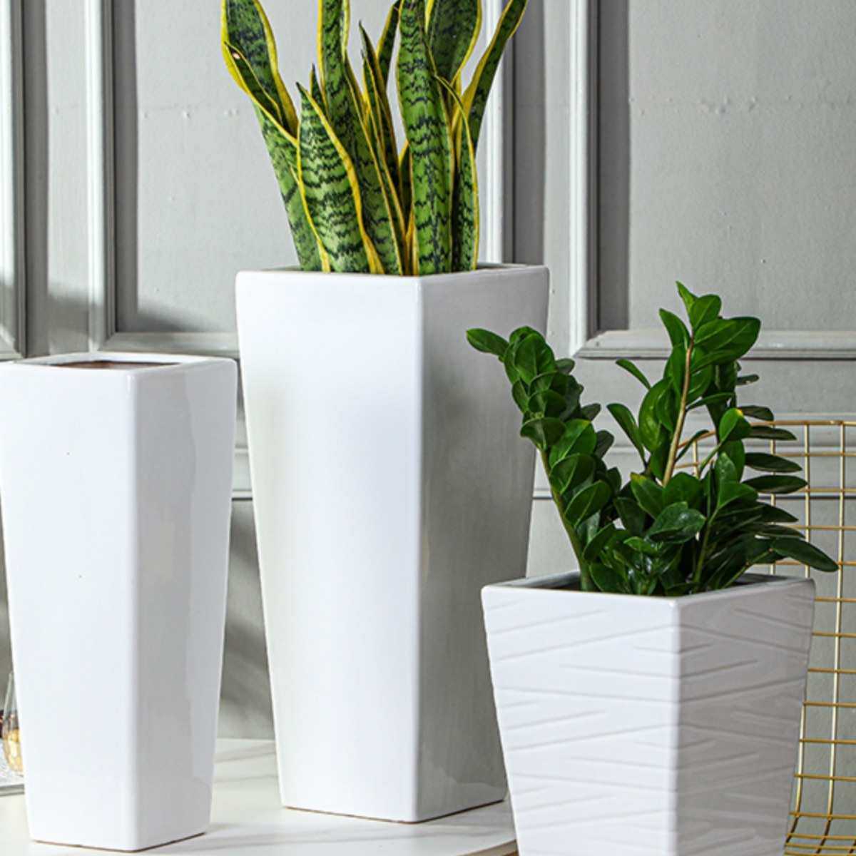 简约ins白色特大号四方高筒陶瓷盆客厅阳台鸟虎皮兰玫瑰包邮,鲜花速递/花卉仿真/绿植园艺,花盆,淘宝优惠券,粉丝福利购,淘宝优惠卷