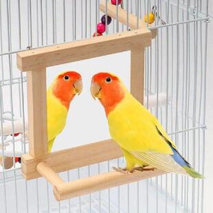 Bird Mirror Perches For Cage Wood Cockatiel Mirror Perch