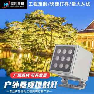 LED工程款 户外楼体景观园林草坪照树灯地插射灯5W16W瓦方形投射灯
