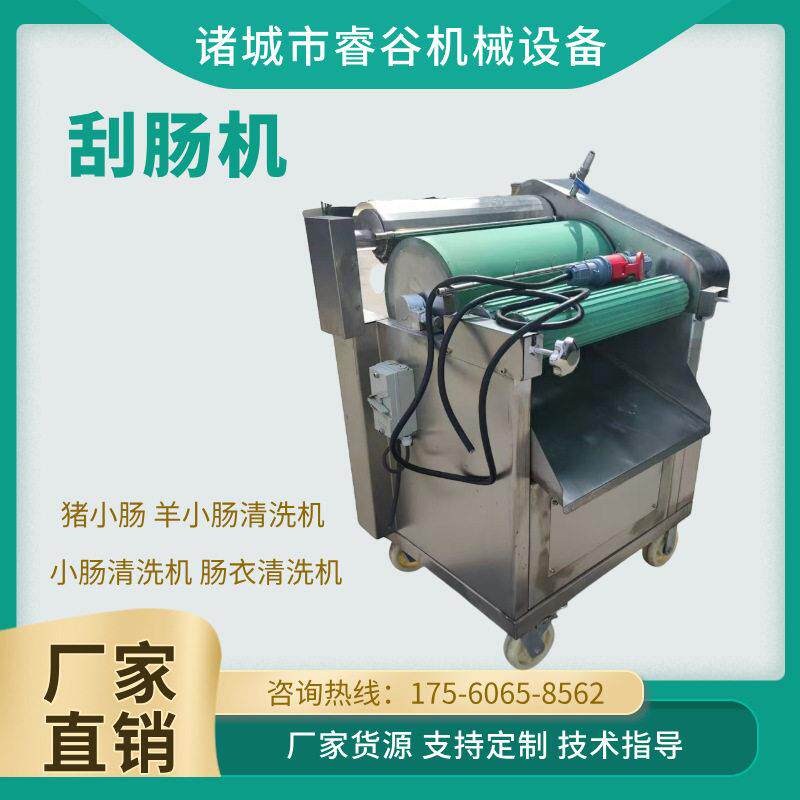 刮肠机 猪小肠羊小肠清洗机 304不锈钢小肠清洗机肠衣清洗机
