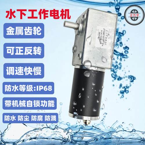 5882-45ZY防尘IP68防水电机涡轮蜗杆全金属齿轮直流减速水下电机