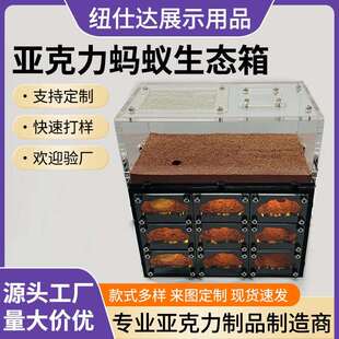 蚂蚁窝 亚克力蚂蚁王国城堡生态箱 立体保温宠物城堡工坊家园巢穴