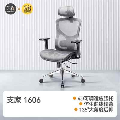 先看评测支家1606人体工程学椅电脑椅电竞椅子舒服久坐游戏靠背椅