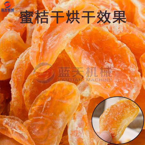 空小气机能蜜桔干烘干机型橘子干水干燥设备脱小金橘烘干LT-JJJ一