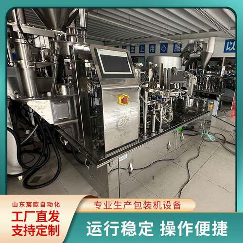 宸欧瓜子称重定量包装机 全自动上料给袋式坚果颗粒包装机械设备