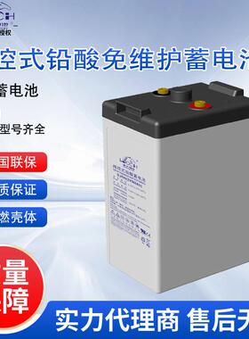 免维护蓄电池DJ2002V200AH/500AH/600AH/2000AH理士蓄电池