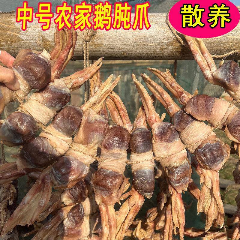寿县农家腌制土鹅肫爪皖西土老鹅腌制草鹅肫爪咸鹅胗爪小鸡鹅肫爪