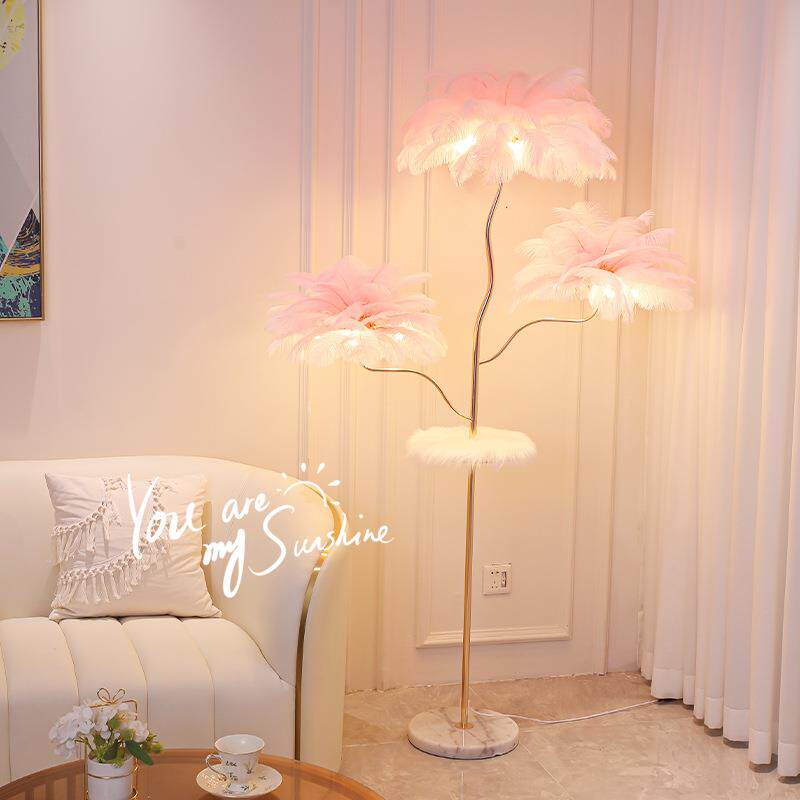 羽毛落地灯现代简约温馨氛围感网红直播间装饰灯客厅沙发立式台灯