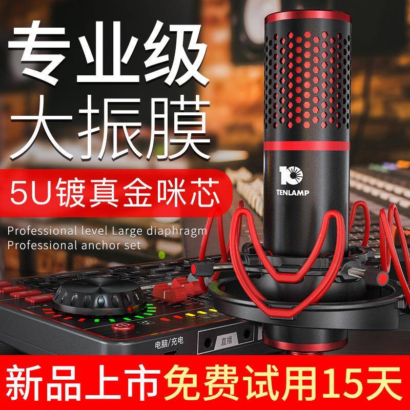 十盏灯 P10麦克风48v 电容麦克风套装手机电脑通用全套直播设备
