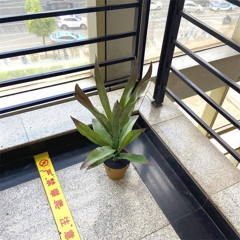 北欧仿真盆栽多肉类植物龙舌兰铁景观酒店软装民宿装饰叶盆景摆件
