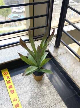 北欧仿真盆栽多肉类植物龙舌兰铁景观酒店软装民宿装饰叶盆景摆件