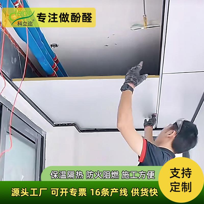 保温隔热天花板吊顶无尘板自装抗压耐用办公室装修吊顶集成墙板