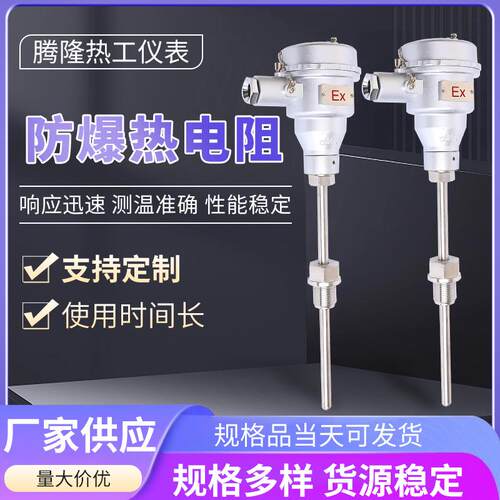 防爆铂热电阻温度传感器电伴热带用防爆PT100铂热电阻 - 封面