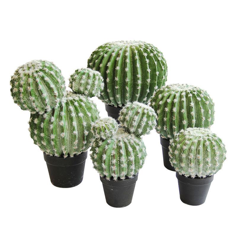 北欧仿真仙人掌仙人球盆栽植物摆件假绿植盆景装饰热带沙漠风造景