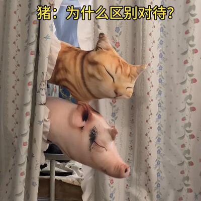 超萌仿真动物玩偶熟睡橘猫毛绒抱枕立体写实猫咪靠背抽象猪哥靠枕