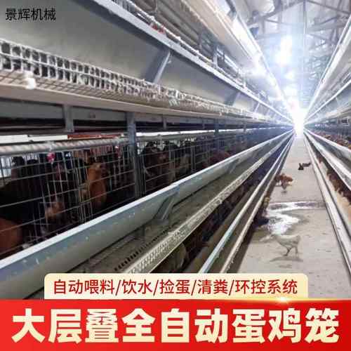 厂家生产全自动立式热镀锌丝鸡笼自动化清粪捡蛋养鸡养殖设备
