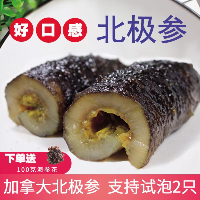 加拿大进口淡干北极参刺参干货海参原货500g包邮非即食海参