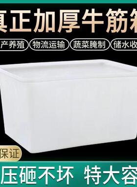 白色塑料水箱收纳箱食品服装中转泡瓷砖物流周转箱储水养殖塑料筐