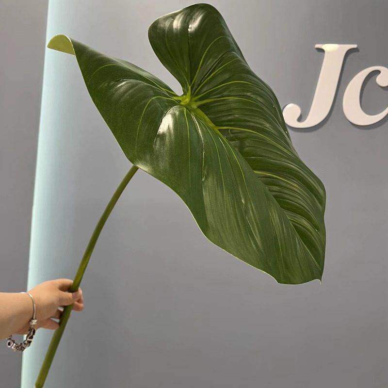 大芋头叶人工经典马蹄莲叶装饰展示摄影道具感觉单片大叶感觉植物