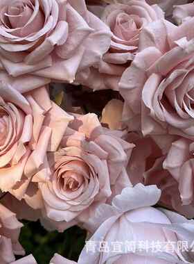 粉色花会球花排议桌放艺花婚庆餐桌婚礼摆拱门背FST1049景架装饰