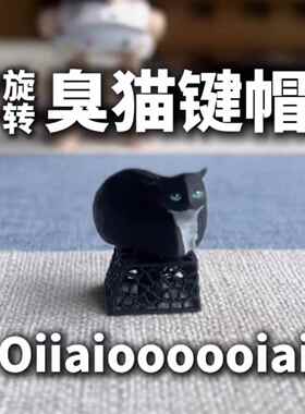 Oiiai臭猫键帽可旋转送拔键器键帽单个解压网红猫memeAR同人AI