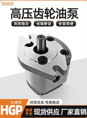 HGP-1A-F6R高压齿轮泵HGP-1A-F4R/F2R/F8R/F1R/F5R/F3R液压齿轮泵