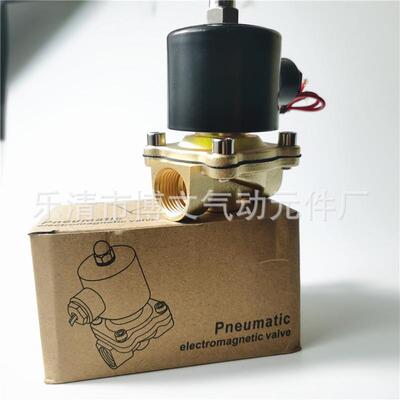 全铜水阀二位二通直动式电磁阀2W160-15UW-15AC220VDC24V