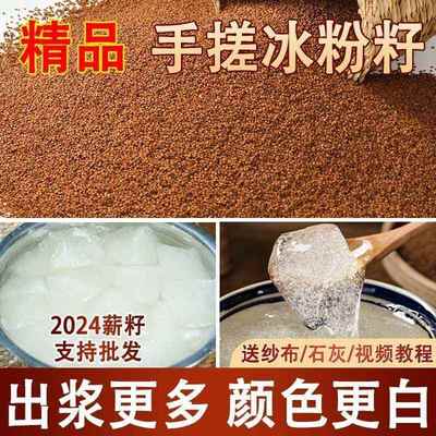 特级冰粉籽手搓冰粉四川冰粉手搓冰粉颜色白气泡密家用自制白凉粉