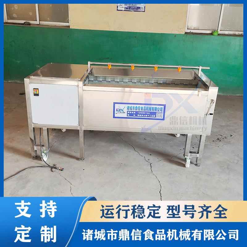 设海蛎SEX子毛刷头清洗机莲藕毛辊清洗机芋皮清洗备水去果清洗机