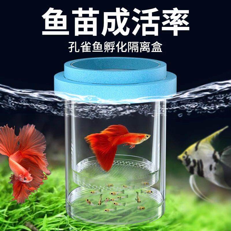 天猫正品鱼缸隔离板分隔网鱼缸隔离盒孵化盒孔雀鱼凤尾繁殖盒小鱼