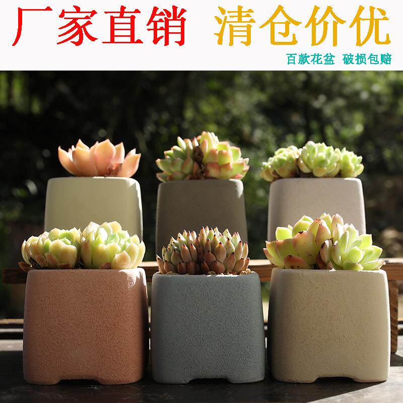 简约多肉花盆陶瓷韩式清新手绘室内创意个性粗陶透气小老桩盆