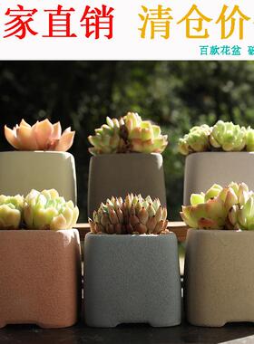 简约多肉花盆陶瓷韩式清新手绘室内创意个性粗陶透气小老桩盆