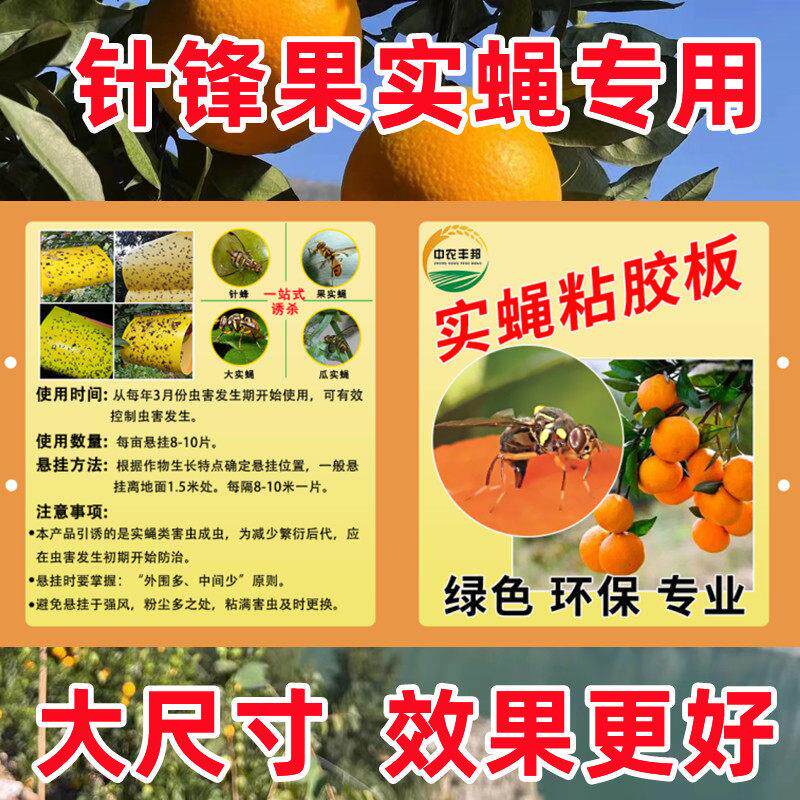 瓜果实蝇粘胶板柑橘大小实蝇粘虫板针蜂克星引诱捕神器实蝇粘胶板