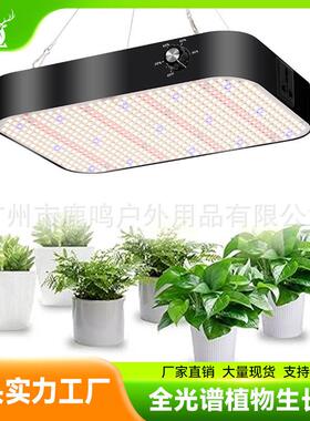 LED量植物调节灯200W室内大棚高光效PPFD全光谱补光灯植物生长灯