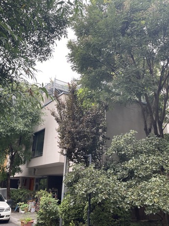 长阳半岛祥云墅1号楼101室（整栋）