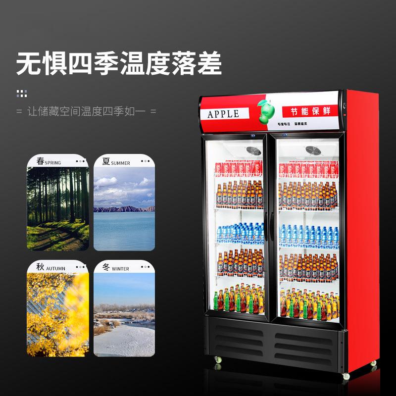 冷藏柜单门展示柜保鲜柜立式双门商用饮料冷饮蔬菜水果柜超市冷柜