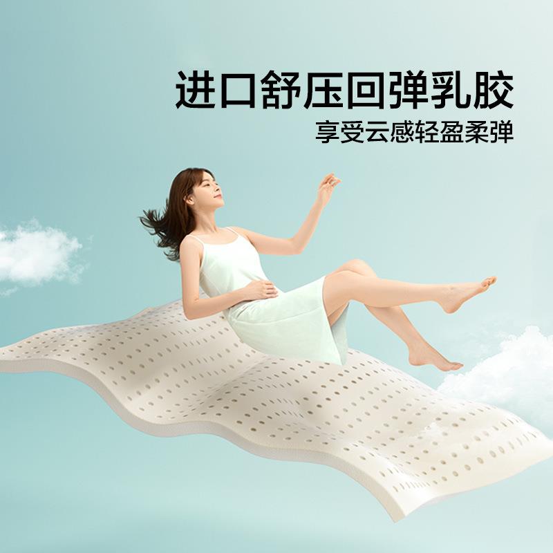 乳胶床垫家用弹簧软垫护脊椰棕垫软硬两用22cm酒店公寓厂家