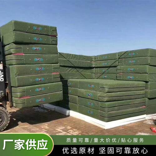 体操垫跆拳道垫舞蹈垫帆布空翻垫跳高海绵仰卧起坐折叠体操垫
