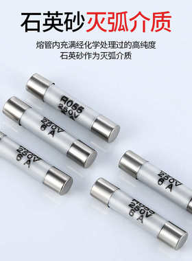 R054 R055  RO58管保险丝熔断丝陶瓷保险管5X20熔断器10A厂家直销