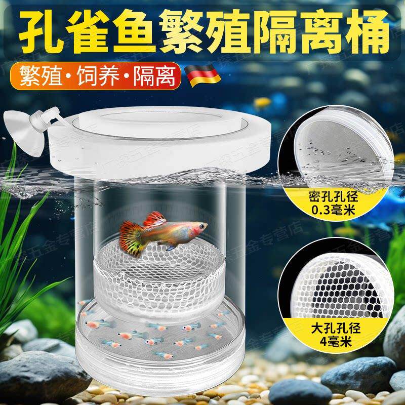 鱼缸繁殖隔离盒孔雀鱼小鱼鱼苗分隔网凤尾鱼专用孕母鱼生产孵化器