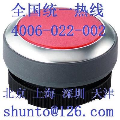 德国RAFI开关型号1.30.270.021/2500现货带灯按钮RAFIX 22 FS+