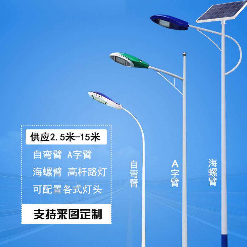 路灯杆定制杆球场小区路灯太阳能市电照明不锈钢户外市政灯杆