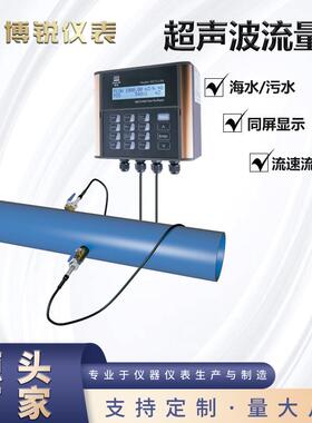 高精度插入式超声波流量计DCT1158W自来水液体污水流量计远传