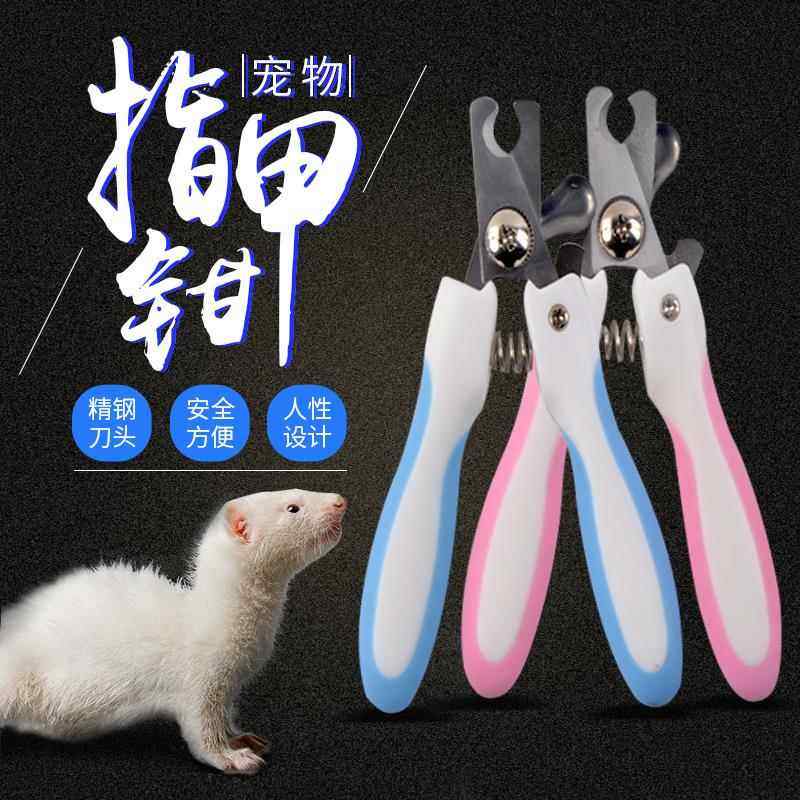 雪貂指甲剪宠物貂兔子松鼠刺猬豚鼠指甲钳指甲刀小宠物指甲剪用品,宠物/宠物食品及用品,玩具/造景装饰,淘宝优惠券,粉丝福利购,淘宝优惠卷