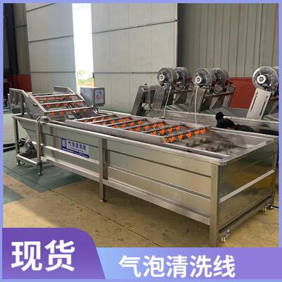 小油菜菠菜气泡清洗机叶类菜清洗设备喷淋式清洗毛豆豌豆荚清洗