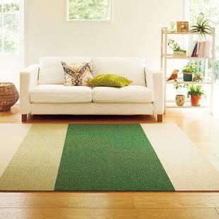 toli东理家居日本拼接地毯日式儿童家用满铺块毯方块地垫AK3500