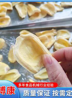 菠萝蜜真空冻干机实验室食品水果家用液体虫草小型迷你冻干机器
