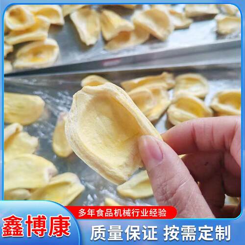 菠萝蜜真空冻干机实验室食品水果家用液体虫草小型迷你冻干机器