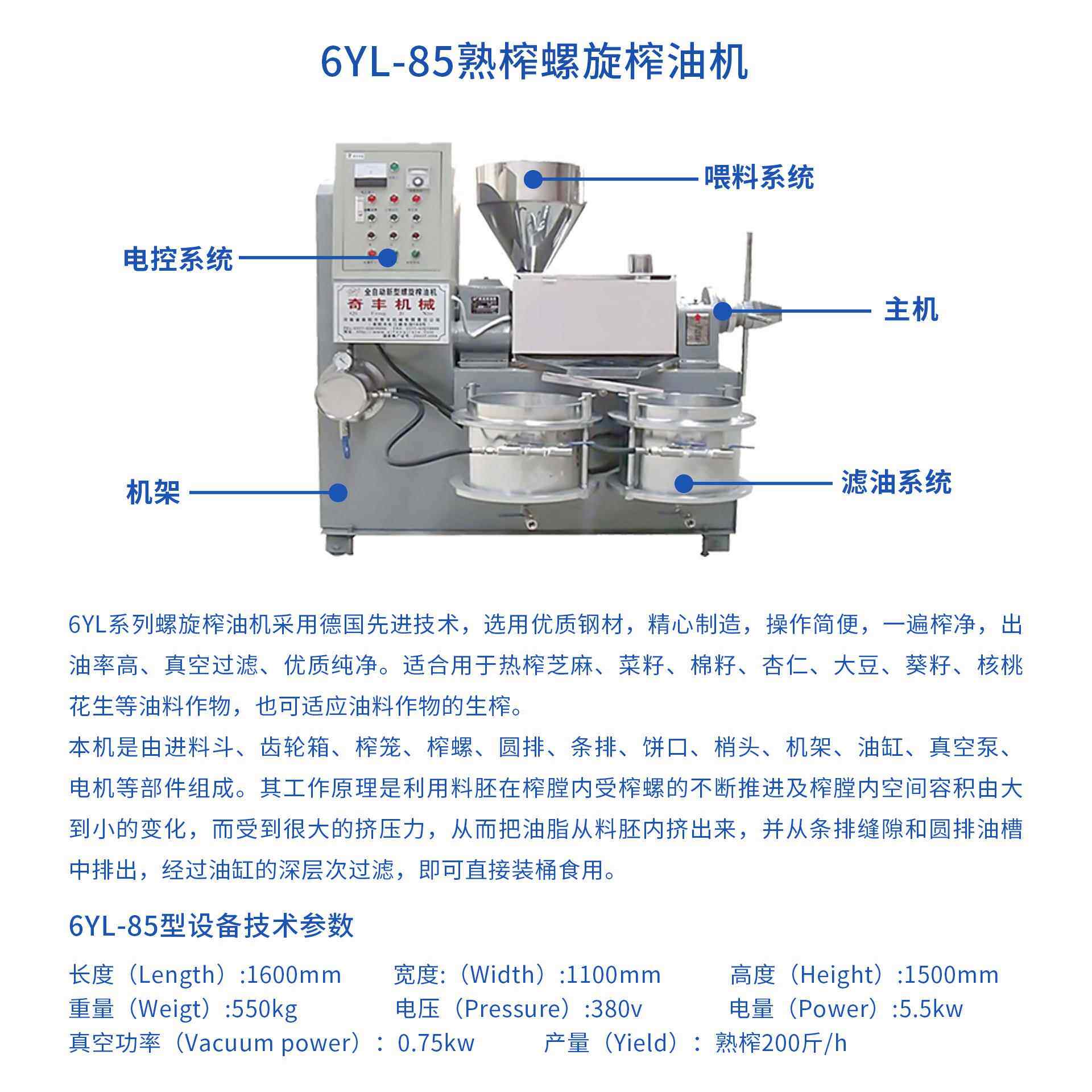 商用榨油机中型小型茶籽油花生油压榨生产线奇丰榨油机价格
